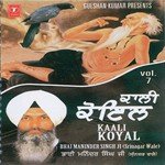 Kaali Koyal (Vol. 7) - Bhai Maninder Singh Ji-Sri Nagar Wale Song Download