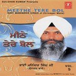 Meethe Tere Bol (Vol. 5) - Bhai Maninder Singh Ji-Sri Nagar Wale Song Download